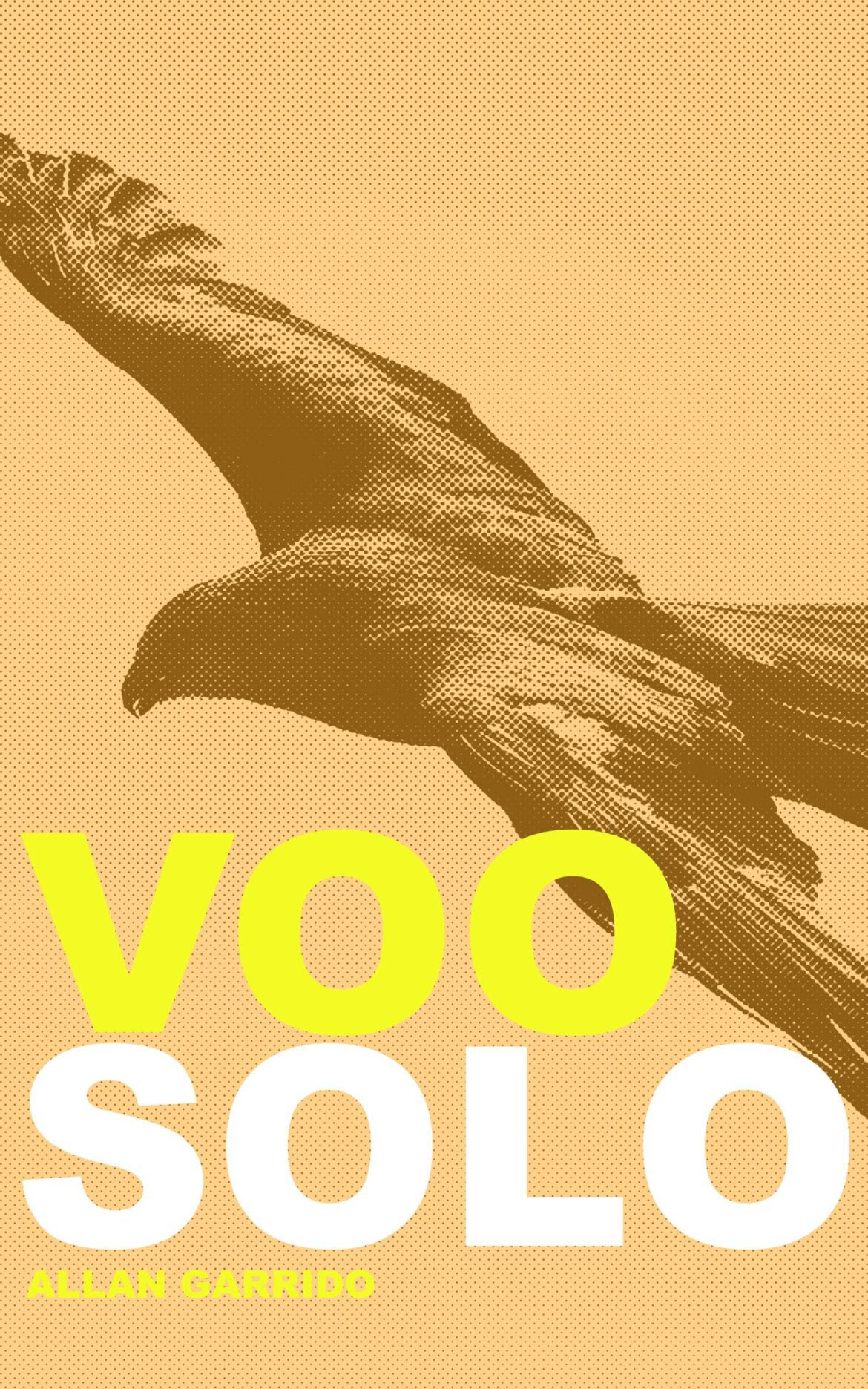 Voo Solo